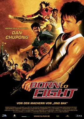 天生拳霸海报