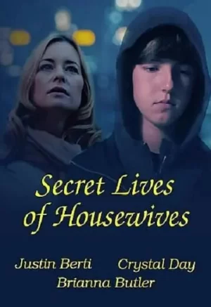 家庭主妇的秘密生活海报