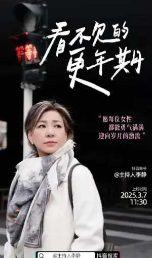 看不见的更年期海报