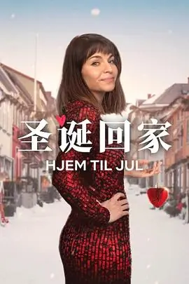 圣诞寻伴第三季海报