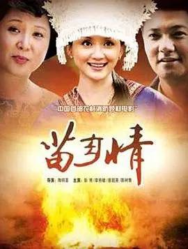 苗乡情海报