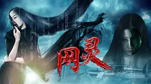 网灵海报