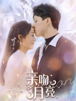 亲吻月亮海报