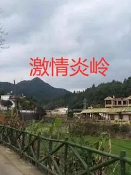 激情炎岭海报