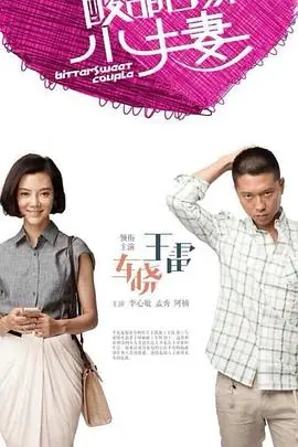 酸甜苦辣小夫妻海报