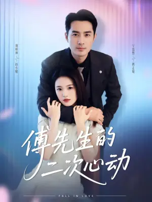 傅先生的二次心动海报