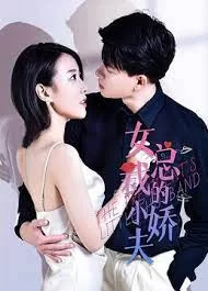 女总裁的小娇夫海报
