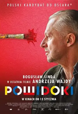 残影余像Powidoki海报
