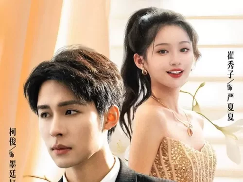 被渣后我闪婚了豪门继承人海报