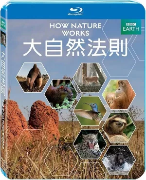 自然的运作海报