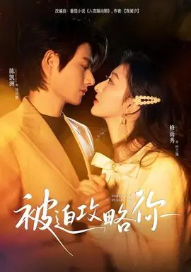 被迫攻略你海报