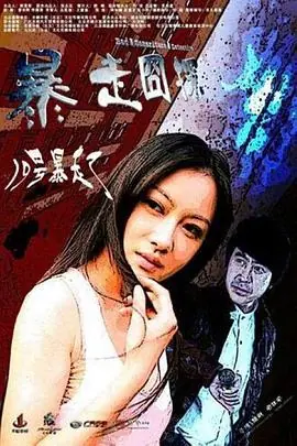 暴走囧探海报