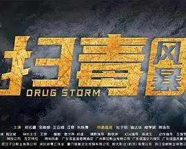 扫毒风暴海报