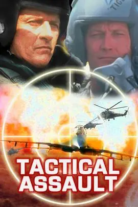 F16空中战将TacticalAssault海报