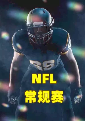 NFL常规赛第十一周-泰坦vs包装工-20221118海报
