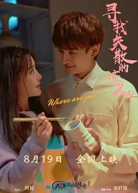 寻找消失的恋人海报