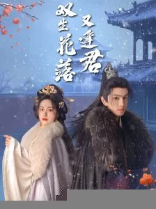 双生花落又逢君海报