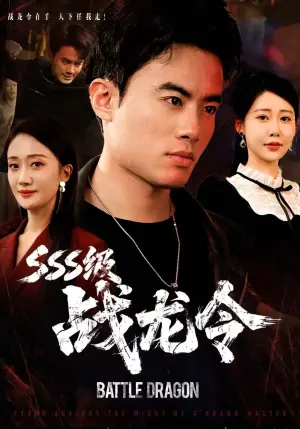 SSS级战龙令海报