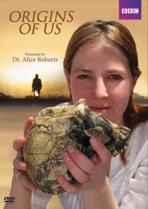 我们的起源海报