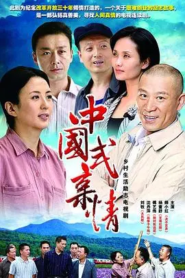 中国式亲情[电影解说]海报