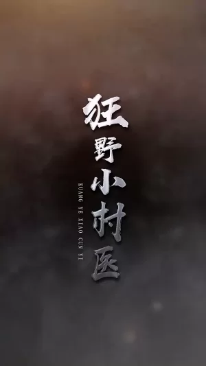 狂野小村医海报