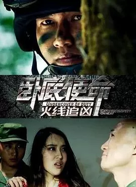 卧底使命·火线追凶海报