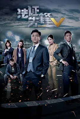 法证先锋5(国语)海报