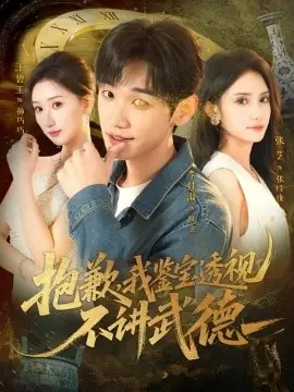 抱歉,我鉴宝透视不讲武德海报