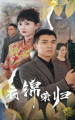 衣锦荣归海报