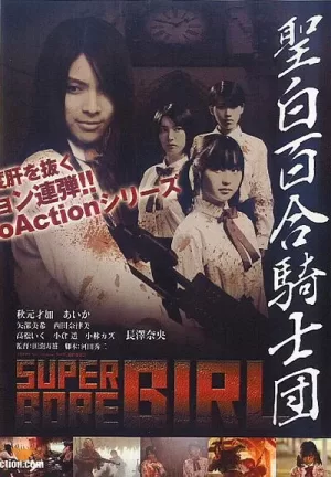 聖白百合騎士団海报