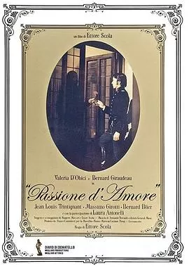 激情的爱[电影解说]海报