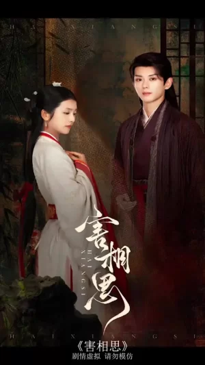 害相思海报