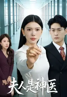 夫人是神医海报