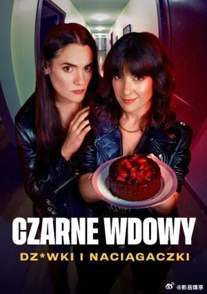 黑寡妇之风月陷阱海报