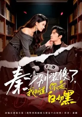 秦少别装傻了,我知道你是白切黑海报