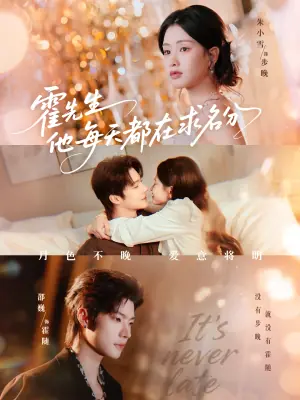 霍先生他每天都在求名分海报