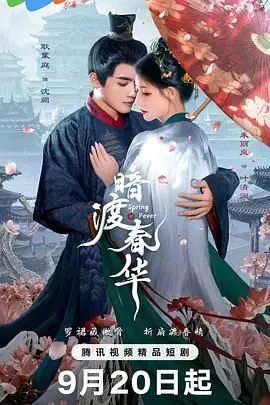 暗渡春华海报