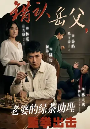 错认岳父,老婆的绿茶助理重拳出击海报