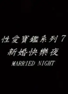 新婚快乐夜海报