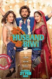 我丈夫的妻子海报