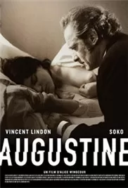 马甲下的情与欲海报