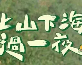 上山下海过一夜海报