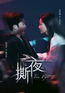 撕夜海报