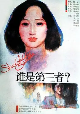 谁是第三者(上,下)海报
