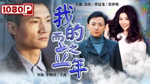 我的而立之年海报