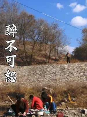 醉不可恕海报