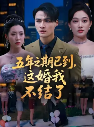 五年之期已到,这婚我不结了海报