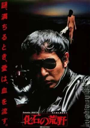 化石的荒野海报