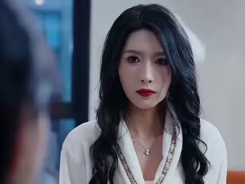 谎言的背后海报