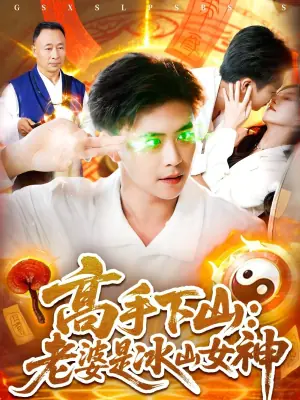 高手下山:老婆是冰山女神海报
